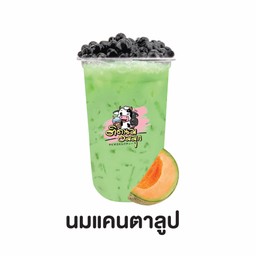 นมแคนตาลูป