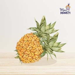 JUICE Pinapple น้ำสับปะรด