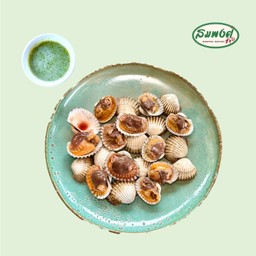 หอยแครง