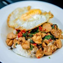 กะเพราไก่ราดข้าวไข่ดาว Fried Chicken with Basil on Rice Topped with Fried Egg