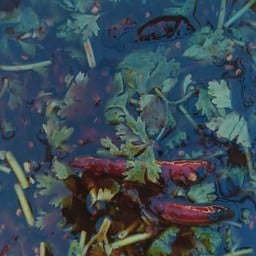 แม่คนึงลูกชิ้นทอด น้ำจิ้มมะขามเปียก (รสเด็ด)