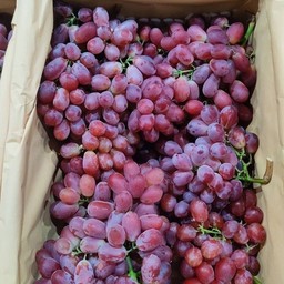 องุ่นนอกไร้เม็ด/ครึ่งโล