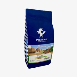 PACAMARA APAC Ekkamai Corner