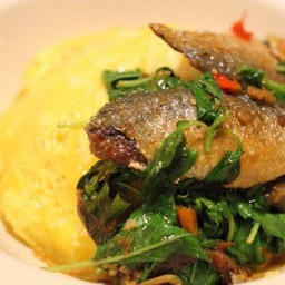 กะเพราปลาทู+ไข่ข้น ราดข้าว