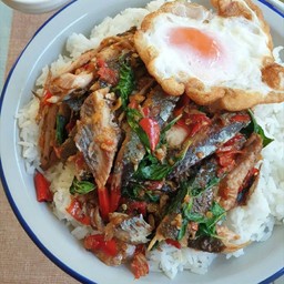 กะเพราปลาทู+ไข่ดาว ราดข้าว