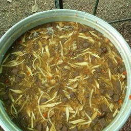 กระเพาะปลา