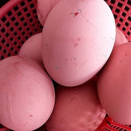 ไข่เยี่ยวม้า