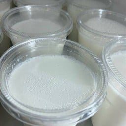 นมเปรี้ยวโฮมเมด Homemade Yogurt