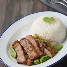 ข้าวพริกหยวกคอหมูอบน้ำผึ้ง