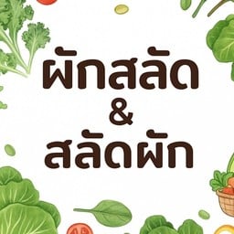 ผัดสลัด & สลัดผัก