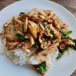 เชฟวูล์ฟ อาหารไทยตามสั่งรสจัดจ้าน