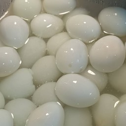 ววรณ โชติ กระเพาะปลาสูตร์เยาว์ราช2 (วัดกู้ ปากเกร็ด)