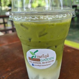 มัทฉะมะพร้าว