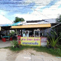 เจ้เหมียว ลาบยโส 100% ไม่มี