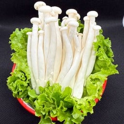 เห็ดชิเมจิขาว