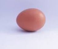 ไข่ไก่เบอร์4 (ฟอง)