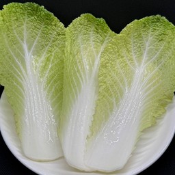 ผักกาดขาว