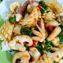 ข้าวกะเพราหมึก