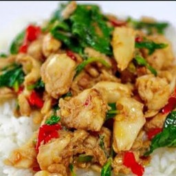 กะเพราไก่