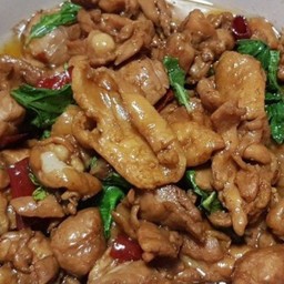 ผัดโหรพาไก่