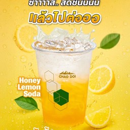 Honey Lemon Soda