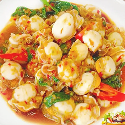 กะเพราหอยเชลล์จุกๆ 20 ตัว L