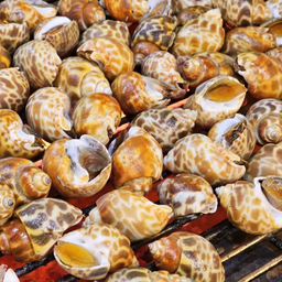 หอยหวานเผา 32 ตัว