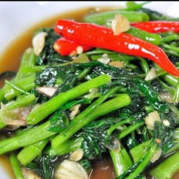 (S) ผักบุ้งไฟแดง