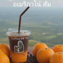 แฮ่รี่ กาแฟสด