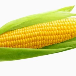 ข้าวโพดต้ม1ฝัก