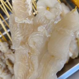 ปลาดอลลี่