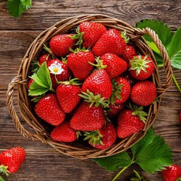 Noo hidey-hole Noo hidey-hole