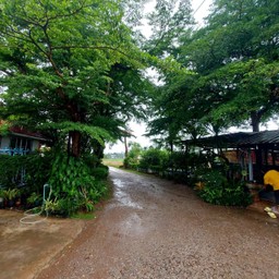 พัชชาวัลย์รีสอร์ท