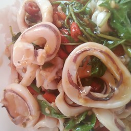 ปลาหมึก