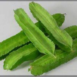 ถั่วพูลวก