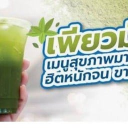เพียวมัจฉะ