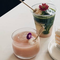 Fellow and Friends. -