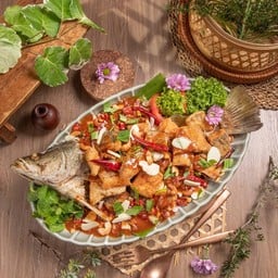 ปลากระพงลุยสวน