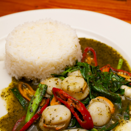 ข้าวราดหอยเชลล์ผัดน้ำมันมะกอกซอสโหระพา