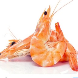 กุ้งขาว
