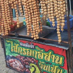 ล้านต้นน้ำ