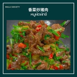 หมูผัดผักชี 香菜炒猪肉