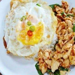 กระเพราไก่ + ไข่ดาว