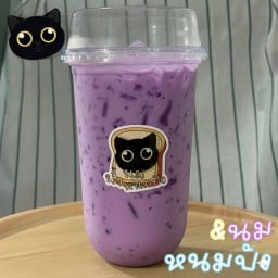 เผือกนมสด