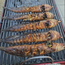 ปลาดุกย่าง