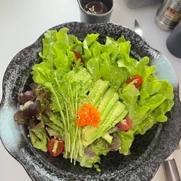 สลัดอโวคาโด