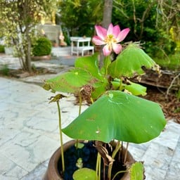 วัดนันทวันปัญญาราม