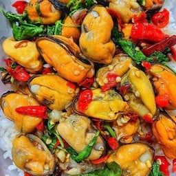 ถุงเงินอาหารป่า บางพูน