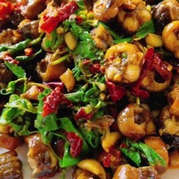 กระเพราปลาไหล