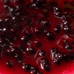 BlueBerry Sauce